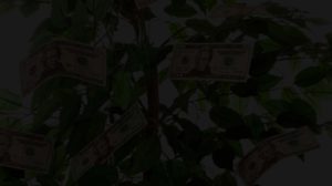 darkened image of a tree with money on it