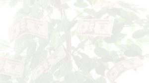 money tree background