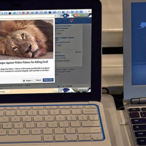 how to use facebook for amazing business results, picture of a facebook post that has a lion for a picture next to a laptop with a facebook background on it, facebook marketing for rv businesses